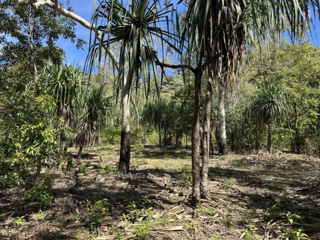 4,056m2 Vacant Land backing onto National Park