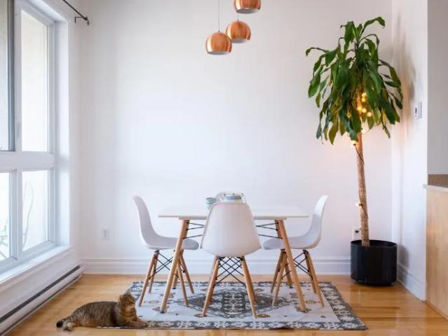 4 1/2 Montréal Hochelaga / Maisonneuve 1 765 $/mois