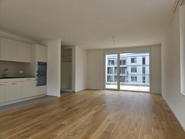 4 1/2 Zimmer Wohnung Neubauprojekt Rheincity