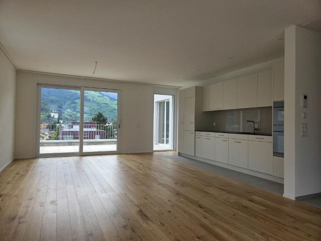 4 1/2 Zimmer Wohnung Neubauprojekt Rheincity