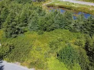 4 22 Penney'S Hill Road, Victoria, NL, A0A 4G0 vacant land f.