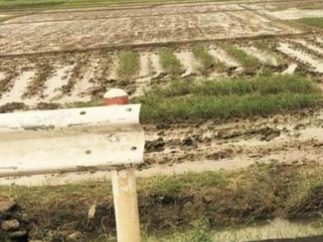 4. 4786 Hectares Along The Highway Lot Sale Camarines Sur Bicol