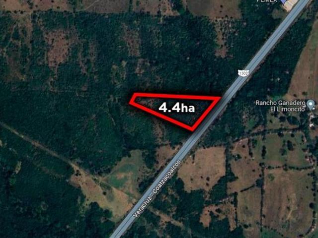 4.4 HECTÁREAS EN VENTA EN MATA DE PITA VERACRUZ | ARLETTE FLORES