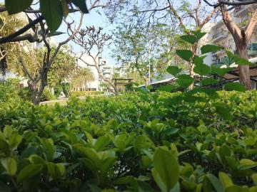 4.5 BHK Apartment in Sector 92 for resale Gurgaon. The reference number is 19844510
