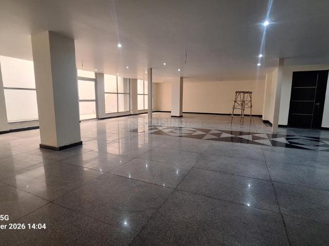 4.5 BHK Independent Builder Floor in Sector 55 for resale Gurgaon. The reference number is 21104789