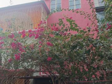 Sunderban Residency, Sinhagad Road, Pune, Pune District, Maharashtra