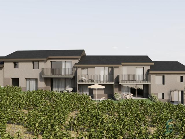 Wunderschöne 4 ½ Zimmer Wohnung in einem Projekt mit 7 Einheiten in Vi