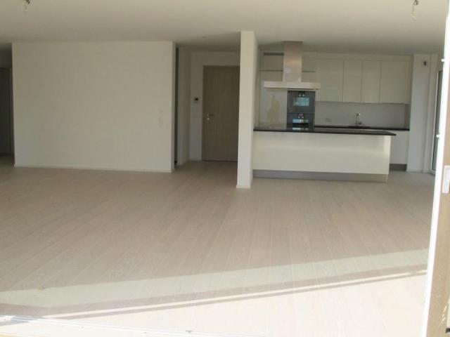 4.5 room apartment with a view of the lake and the Alps