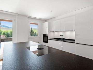 Kanton Schaffhausen - Terrasse, Kamin