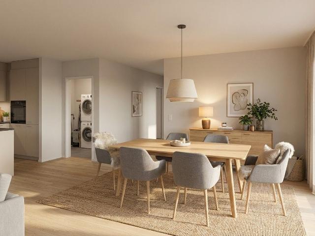4.5 Zimmer Neubau mit Weitsicht zu den Churfirsten in Schaffhausen kaufen