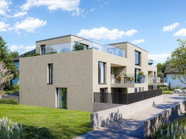 4.5 Zimmer Neubauwohnung an Exklusiver Lage Seengen AG