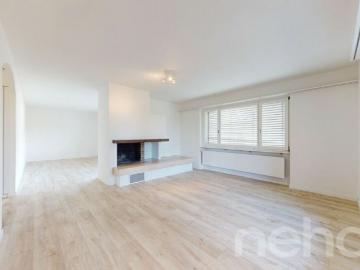 Berikon, Bezirk Bremgarten, Aargau - Terrasse