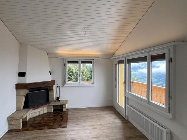 4.5 Zimmer Chalet