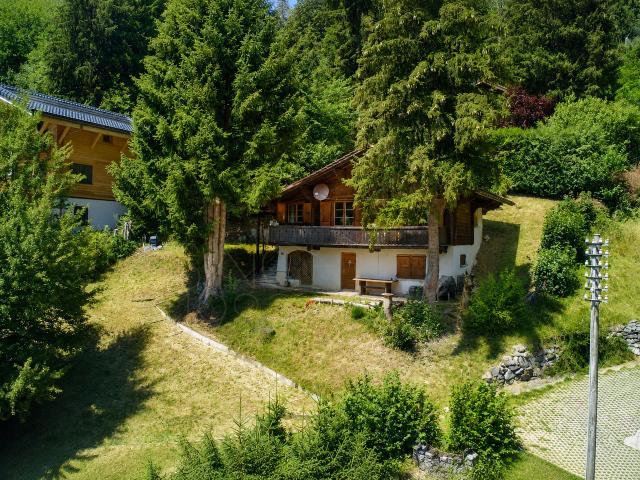 4,5 Zimmer Chalet zum Renovieren in Gryon, mit Aussicht und Ruhe