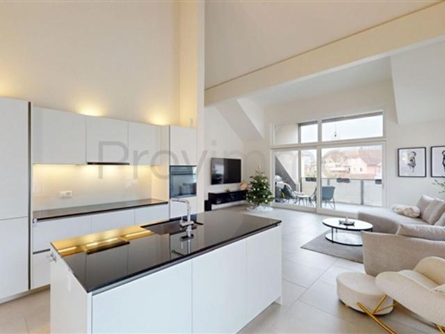 4.5 Zimmer Dachwohnung in Niedergösgen SO