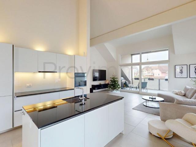 4.5 Zimmer Dachwohnung in Niedergösgen SO
