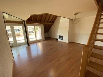 4,5 Zimmer Doppelhaus und Penthouse mit Terrasse