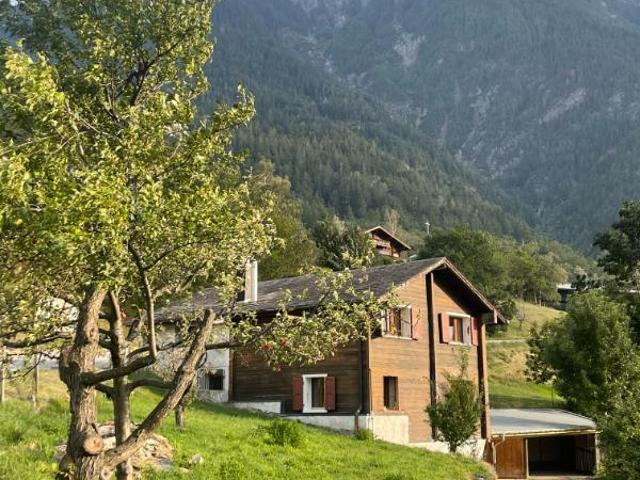 4.5 Zimmer Einfamilienhaus
