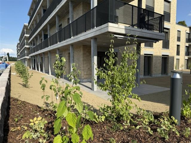 4.5 Zimmer Erdgeschosswohnung mit grosszügigem Garten D 0.5
