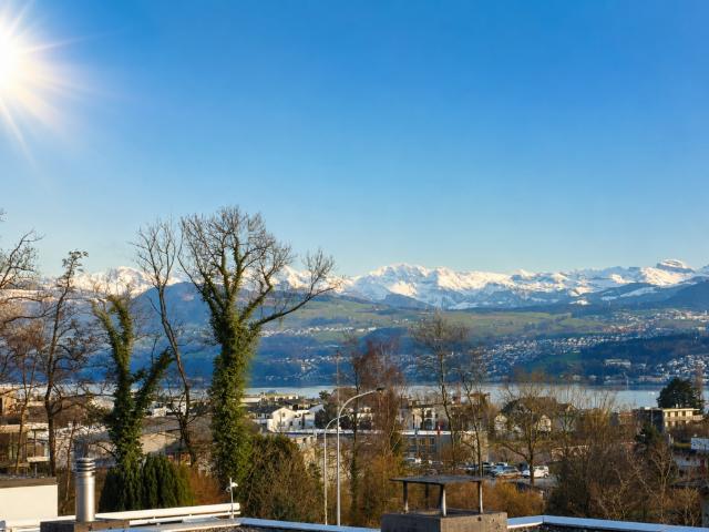 4.5 Zimmer Terrassenhaus mit 180 Grad See und Weitsicht!