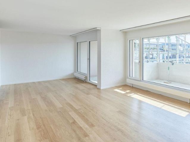4.5 Zimmer Wohnung