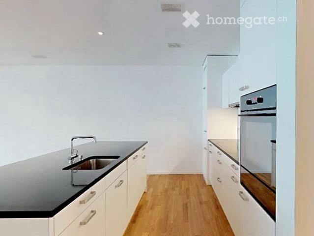 4,5 Zimmer Wohnung in Luzern *Güterstr. 2a