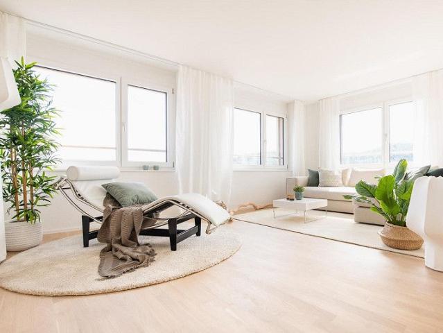 4.5 Zimmer Wohnung in Neuhausen am Rheinfall