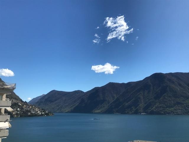 4.5 Zimmer Wohnung  lugano centrocon vista lago