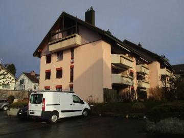 4,5 Zimmer Wohnung mit Keller und Schutzraum