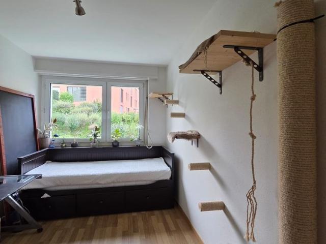 4.5 Zimmer Wohnung mit traumhafter Seesicht in Richterswil Familienfreundlich