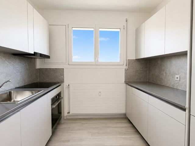 4.5 Zimmer Wohnung zu vermieten in Coldrerio