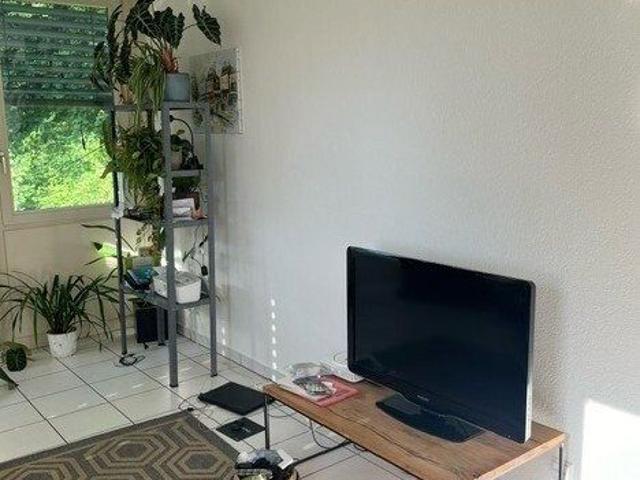 4.5 Zimmer, 155 m², Untergeschoss