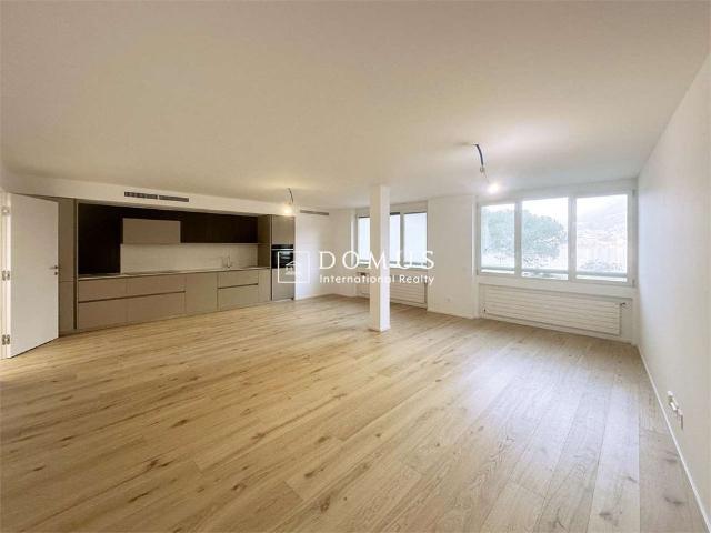 4.5 Zimmer, 177 m², 1. Stock
