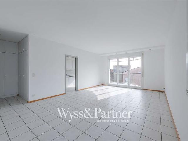 4.5 Zimmer, 100 m²