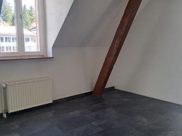 Le Locle, Bezirk Locle