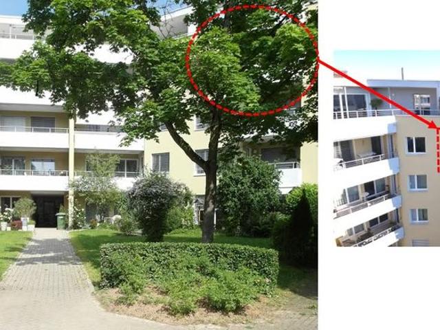 4.5 Zimmer, 104 m², 3. Stock