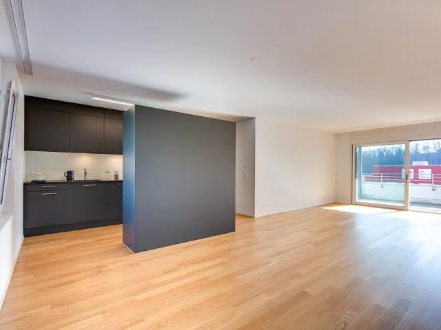 4.5 Zimmer, 113 m², 3. Stock