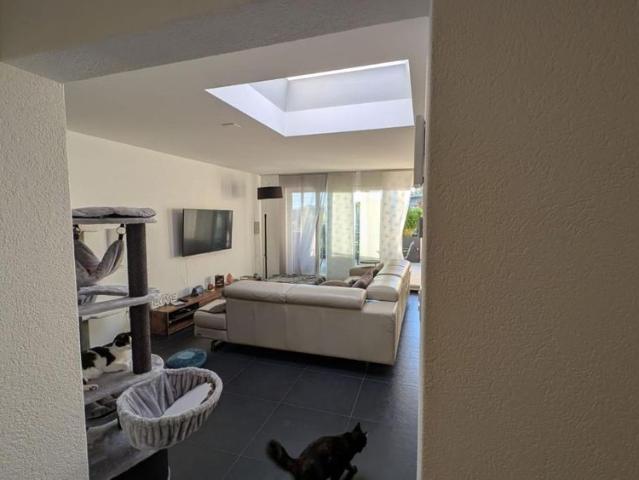 4.5 Zimmer, 110 m²