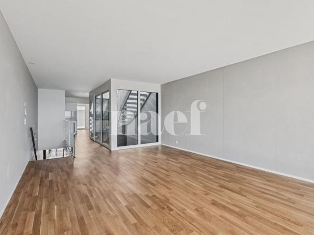 4.5 Zimmer, 117 m²