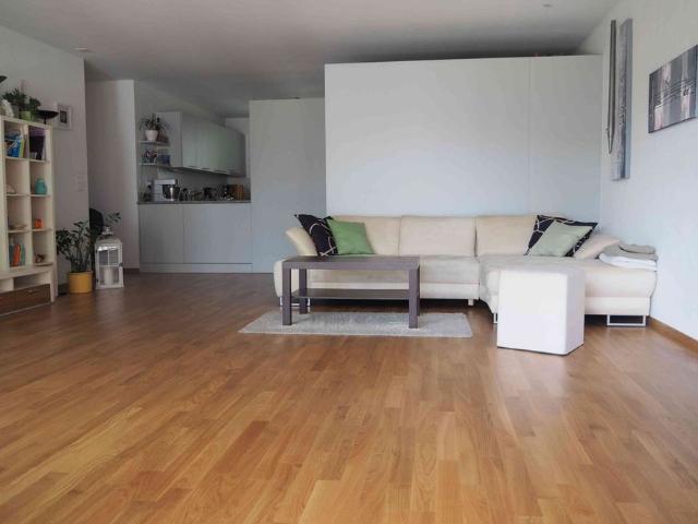 4.5 Zimmer, 114 m², EG