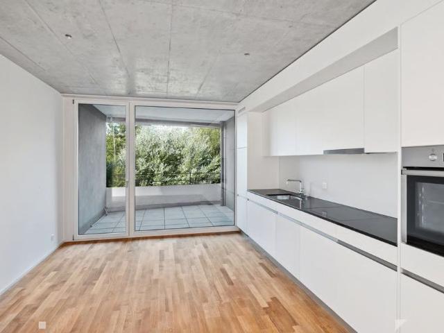 4.5 Zimmer, 114 m², 3. Stock