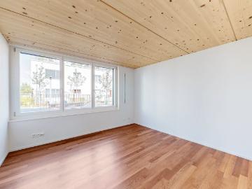 Remigen, Bezirk Brugg, Aargau - Keller