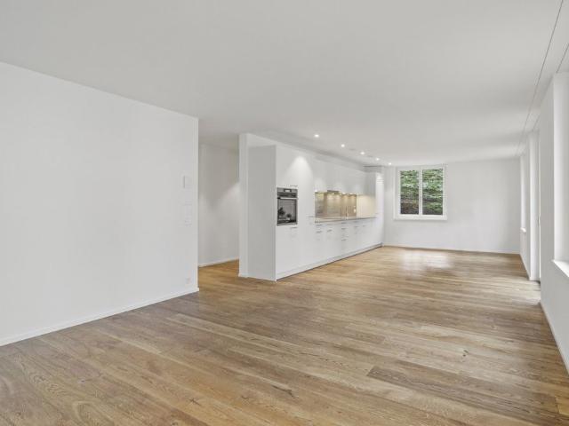 4.5 Zimmer, 119 m², 1. Stock