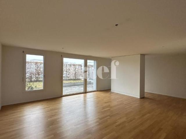 4.5 Zimmer, 120 m², EG