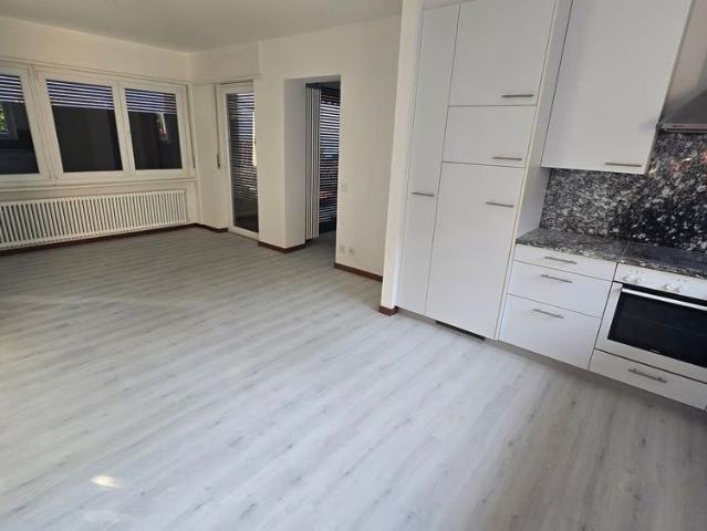 4.5 Zimmer, 120 m², EG