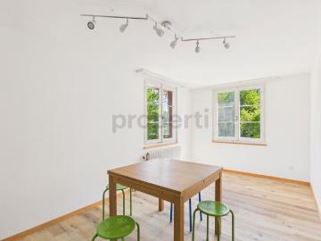 4.5 Zimmer, 120 m², 1. Stock