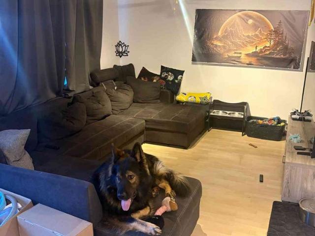4.5 Zimmer, 120 m²