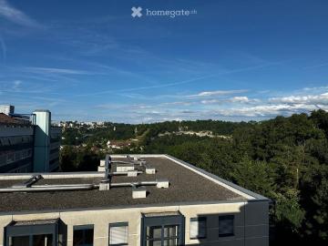 4.5 Zimmer, 120 m²