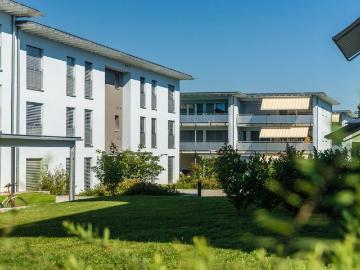 Dottikon, Bezirk Bremgarten, Aargau - Keller