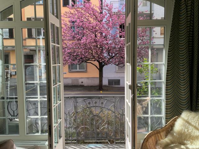 4.5 Zimmer, 126 m², EG